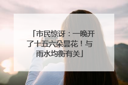 市民惊讶：一晚开了十五六朵昙花！与雨水均衡有关