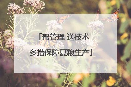 帮管理 送技术 多措保障夏粮生产