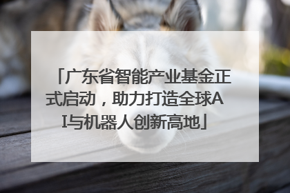 广东省智能产业基金正式启动，助力打造全球AI与机器人创新高地