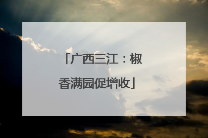 广西三江：椒香满园促增收