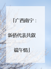 广西南宁：新侨代表共叙端午情