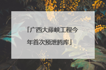 广西大藤峡工程今年首次预泄腾库