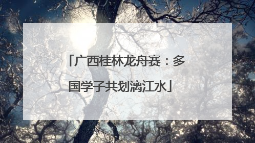 广西桂林龙舟赛：多国学子共划漓江水