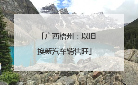 广西梧州：以旧换新汽车销售旺