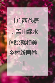 广西苍梧：青山绿水间绘就和美乡村新画卷