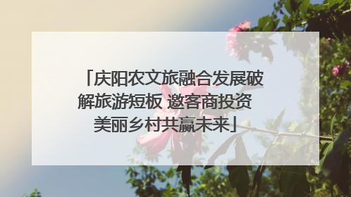 庆阳农文旅融合发展破解旅游短板 邀客商投资美丽乡村共赢未来
