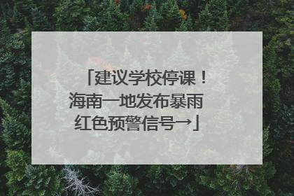 建议学校停课！海南一地发布暴雨红色预警信号→