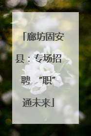 廊坊固安县：专场招聘 “职”通未来