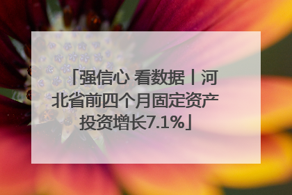 强信心 看数据丨河北省前四个月固定资产投资增长7.1%