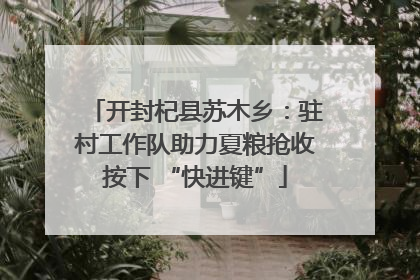 开封杞县苏木乡：驻村工作队助力夏粮抢收按下 “快进键”