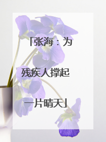 张海：为残疾人撑起一片晴天