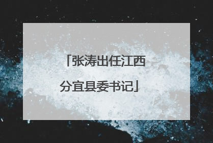 张涛出任江西分宜县委书记