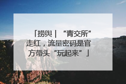 捞舆｜“青交所”走红，流量密码是官方带头“玩起来”
