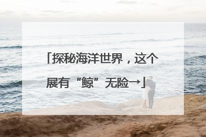 探秘海洋世界，这个展有“鲸”无险→
