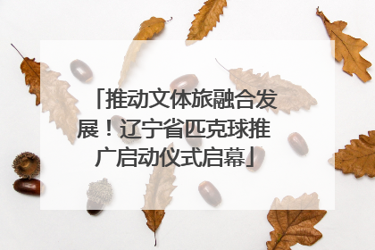 推动文体旅融合发展！辽宁省匹克球推广启动仪式启幕