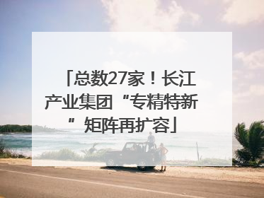 总数27家！长江产业集团“专精特新”矩阵再扩容