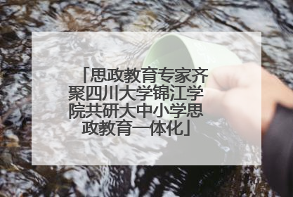 思政教育专家齐聚四川大学锦江学院共研大中小学思政教育一体化