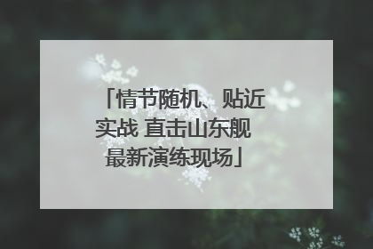 情节随机、贴近实战 直击山东舰最新演练现场