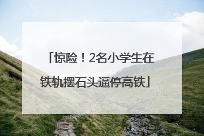 惊险！2名小学生在铁轨摆石头逼停高铁