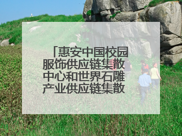惠安中国校园服饰供应链集散中心和世界石雕产业供应链集散中心正式揭牌