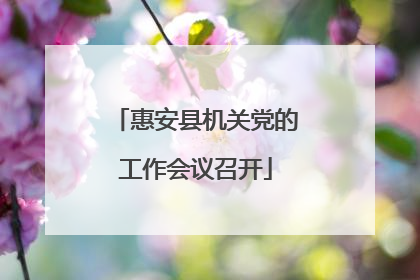 惠安县机关党的工作会议召开