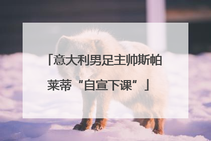 意大利男足主帅斯帕莱蒂“自宣下课”