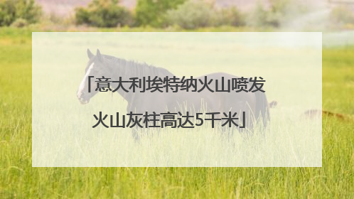 意大利埃特纳火山喷发 火山灰柱高达5千米