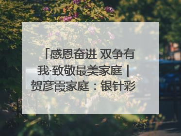 感恩奋进 双争有我·致敬最美家庭｜贺彦霞家庭：银针彩线绣出好日子