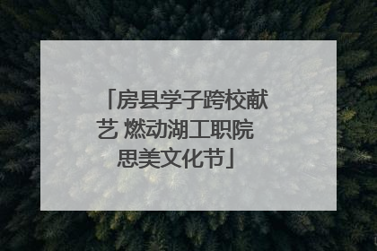 房县学子跨校献艺 燃动湖工职院思美文化节