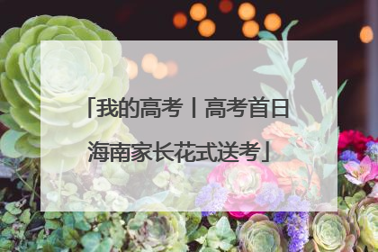 我的高考丨高考首日 海南家长花式送考