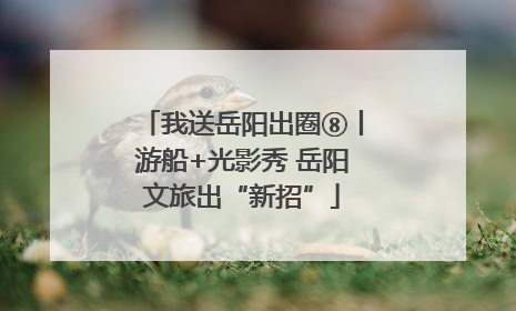 我送岳阳出圈⑧丨游船+光影秀 岳阳文旅出“新招”
