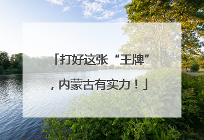 打好这张“王牌”，内蒙古有实力！