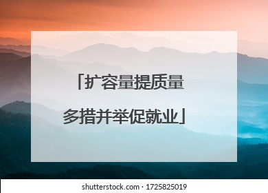 扩容量提质量 多措并举促就业
