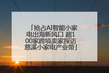 抢占AI智能小家电出海新风口 超100家跨境卖家探访慈溪小家电产业带