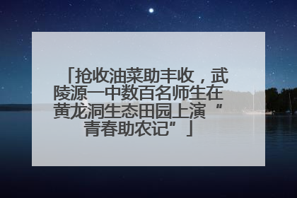 抢收油菜助丰收，武陵源一中数百名师生在黄龙洞生态田园上演“青春助农记”