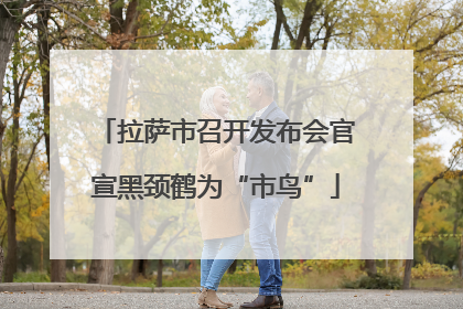拉萨市召开发布会官宣黑颈鹤为“市鸟”