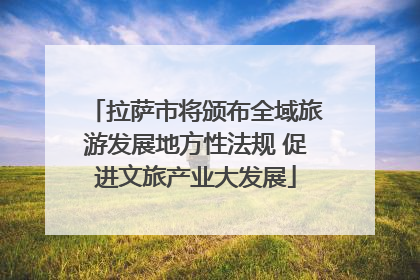 拉萨市将颁布全域旅游发展地方性法规 促进文旅产业大发展