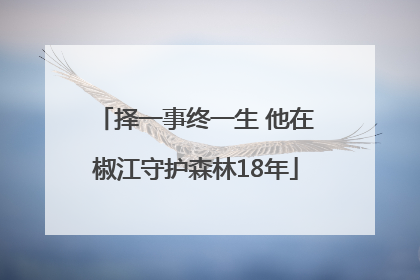 择一事终一生 他在椒江守护森林18年