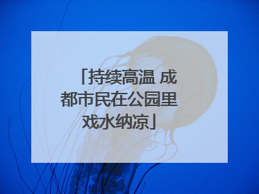 持续高温 成都市民在公园里戏水纳凉
