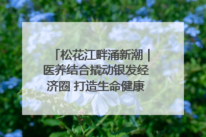 松花江畔涌新潮｜医养结合撬动银发经济圈 打造生命健康产业新样本
