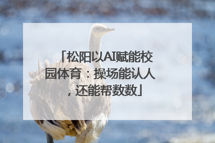松阳以AI赋能校园体育：操场能认人，还能帮数数
