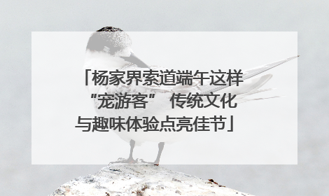 杨家界索道端午这样“宠游客” 传统文化与趣味体验点亮佳节