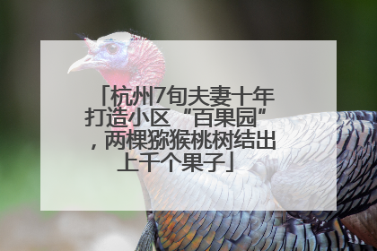 杭州7旬夫妻十年打造小区“百果园”，两棵猕猴桃树结出上千个果子