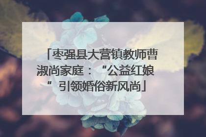 枣强县大营镇教师曹淑尚家庭：“公益红娘”引领婚俗新风尚