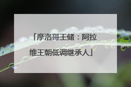 摩洛哥王储：阿拉维王朝低调继承人