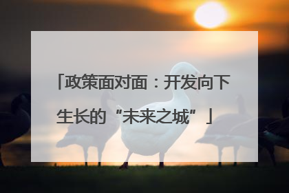 政策面对面：开发向下生长的“未来之城”