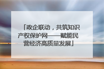 政企联动，共筑知识产权保护网——赋能民营经济高质量发展