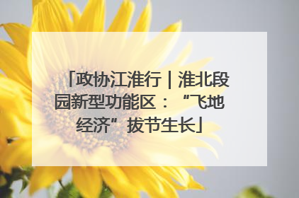 政协江淮行｜淮北段园新型功能区：“飞地经济”拔节生长