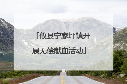 攸县宁家坪镇开展无偿献血活动