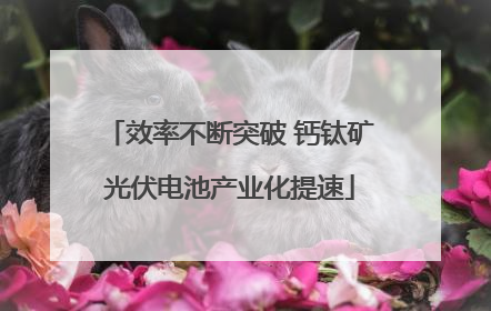 效率不断突破 钙钛矿光伏电池产业化提速
